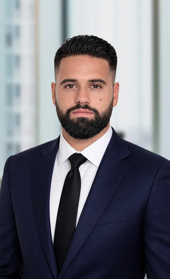 Alexis, Project manager